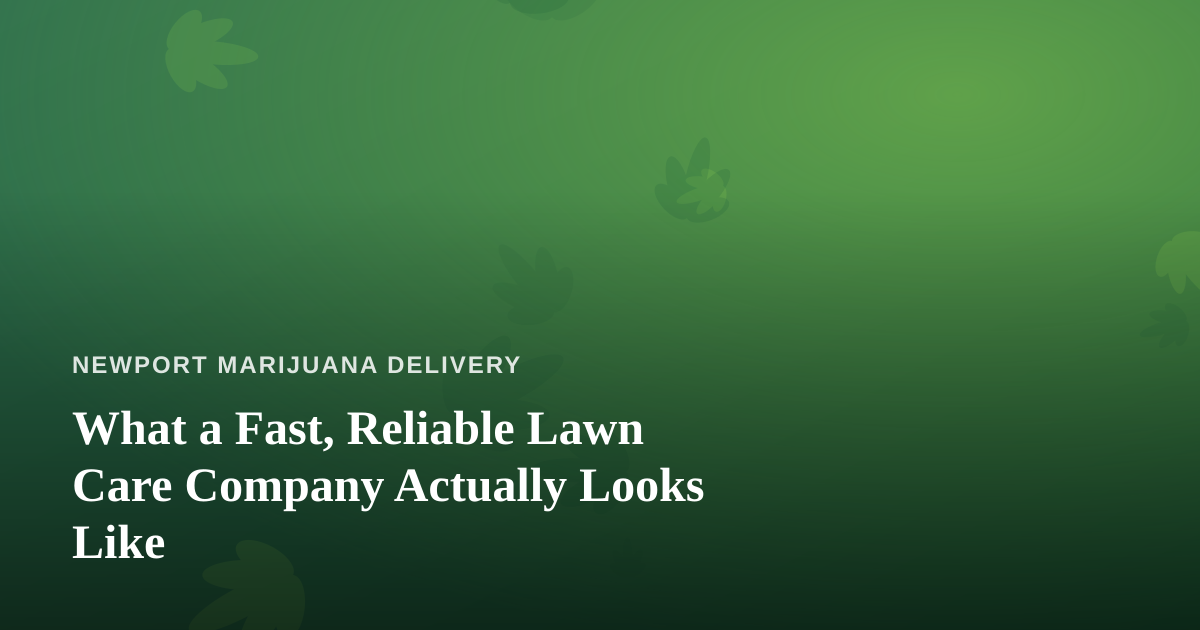 What a Fast, Reliable Lawn Care Company Actually Looks Like