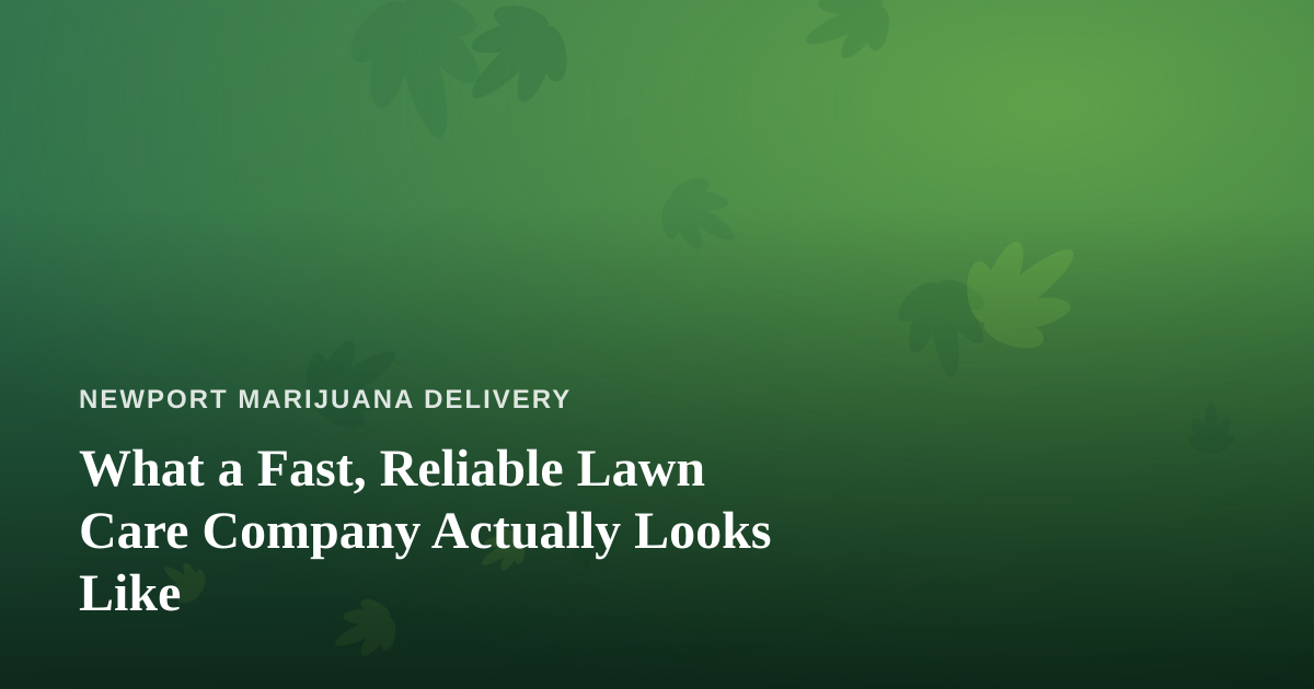 What a Fast, Reliable Lawn Care Company Actually Looks Like