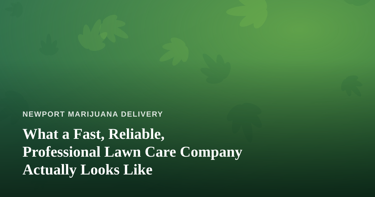 What a Fast, Reliable, Professional Lawn Care Company Actually Looks Like