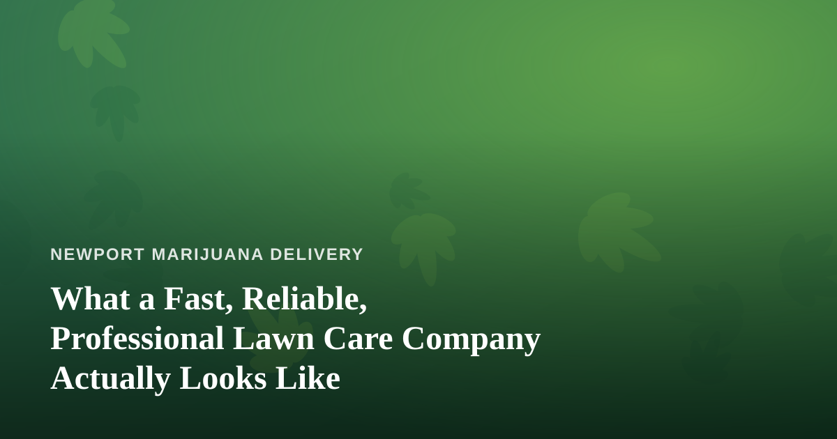 What a Fast, Reliable, Professional Lawn Care Company Actually Looks Like