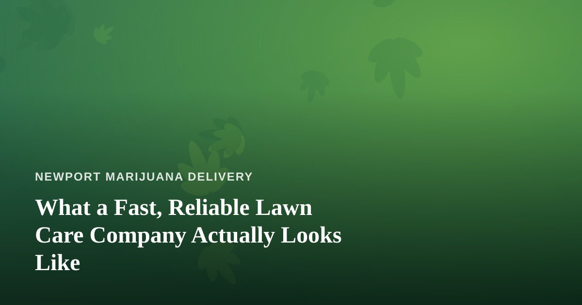 What a Fast, Reliable Lawn Care Company Actually Looks Like